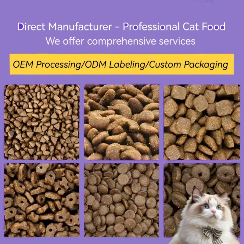 36% Salmon Dry Cat Food for Intestinal Health‌