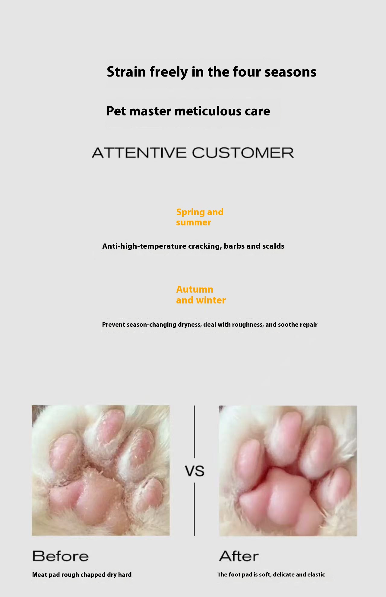 Automatic Pet Feeder Supplier