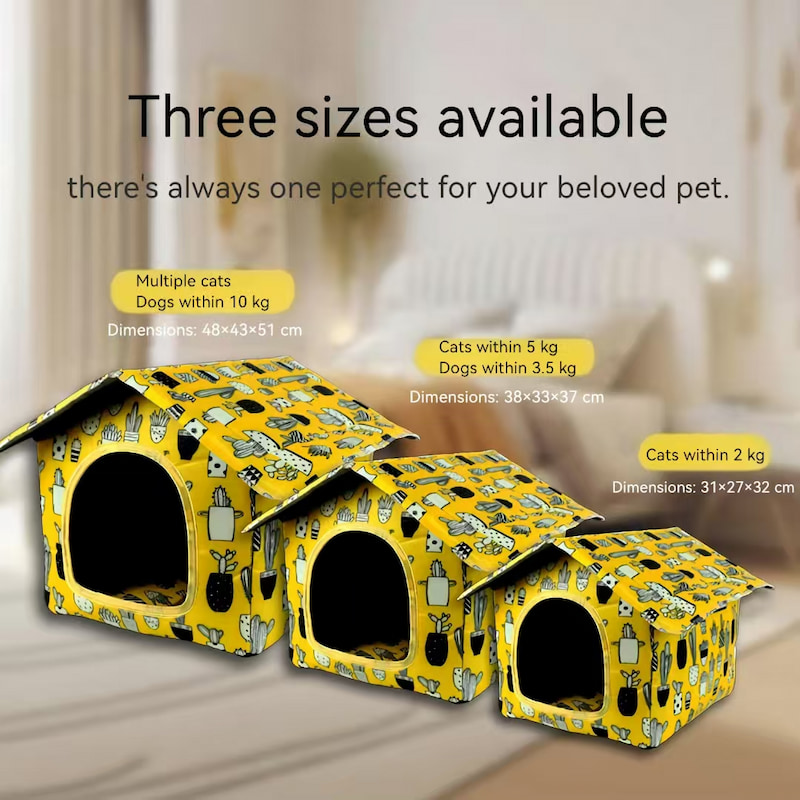 Automatic Pet Feeder Supplier